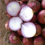 Cebolla Roja Fresca Nueva Cosecha