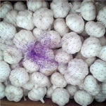 Paquete de ajo suelto premium