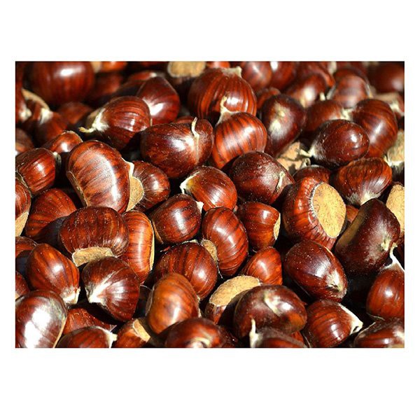 Bolsa de malla de castaña orgánica fresca